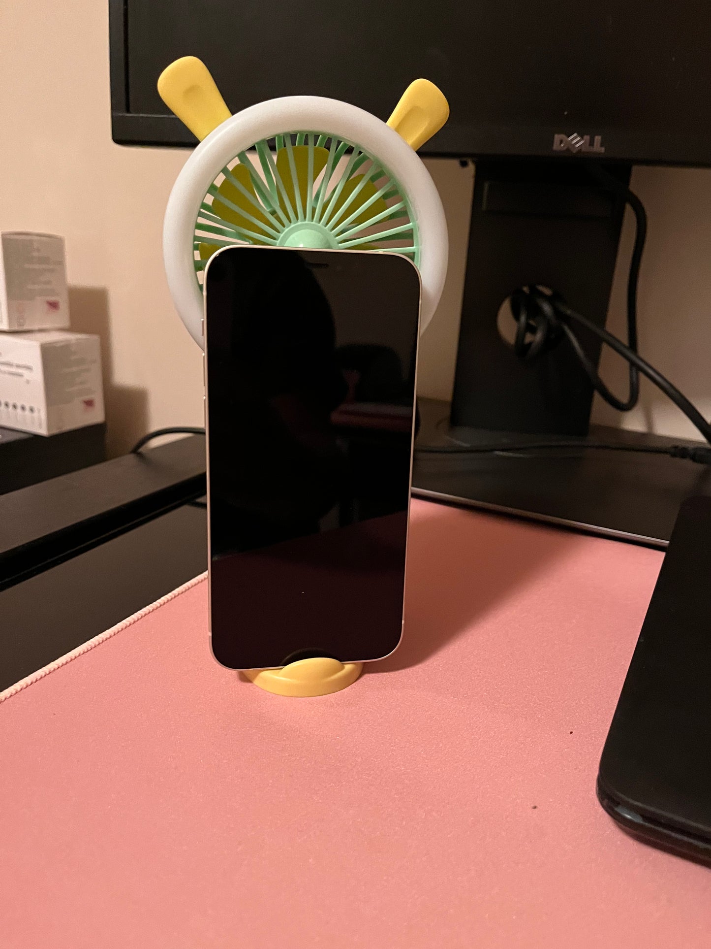 Mini Fan