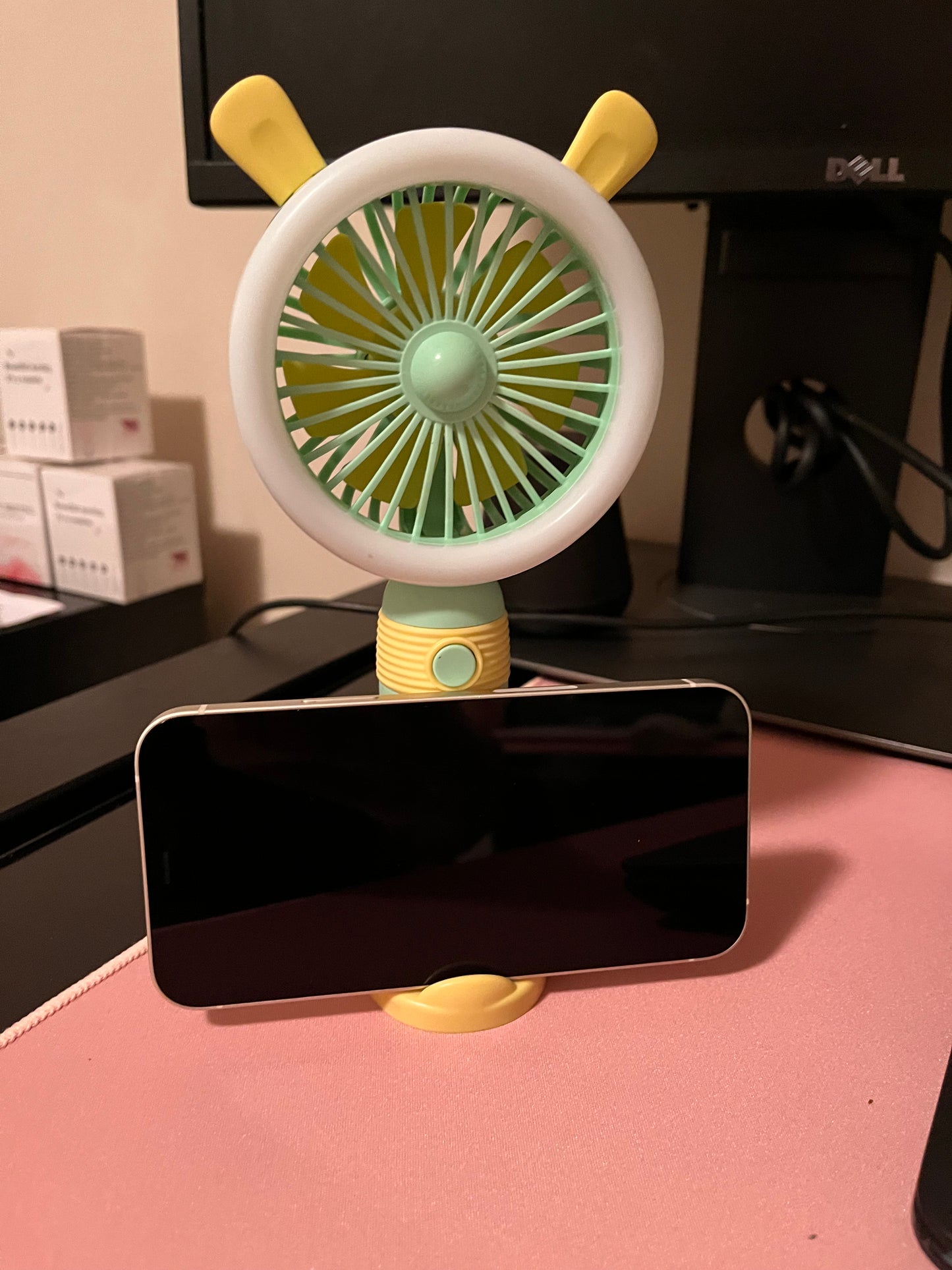 Mini Fan